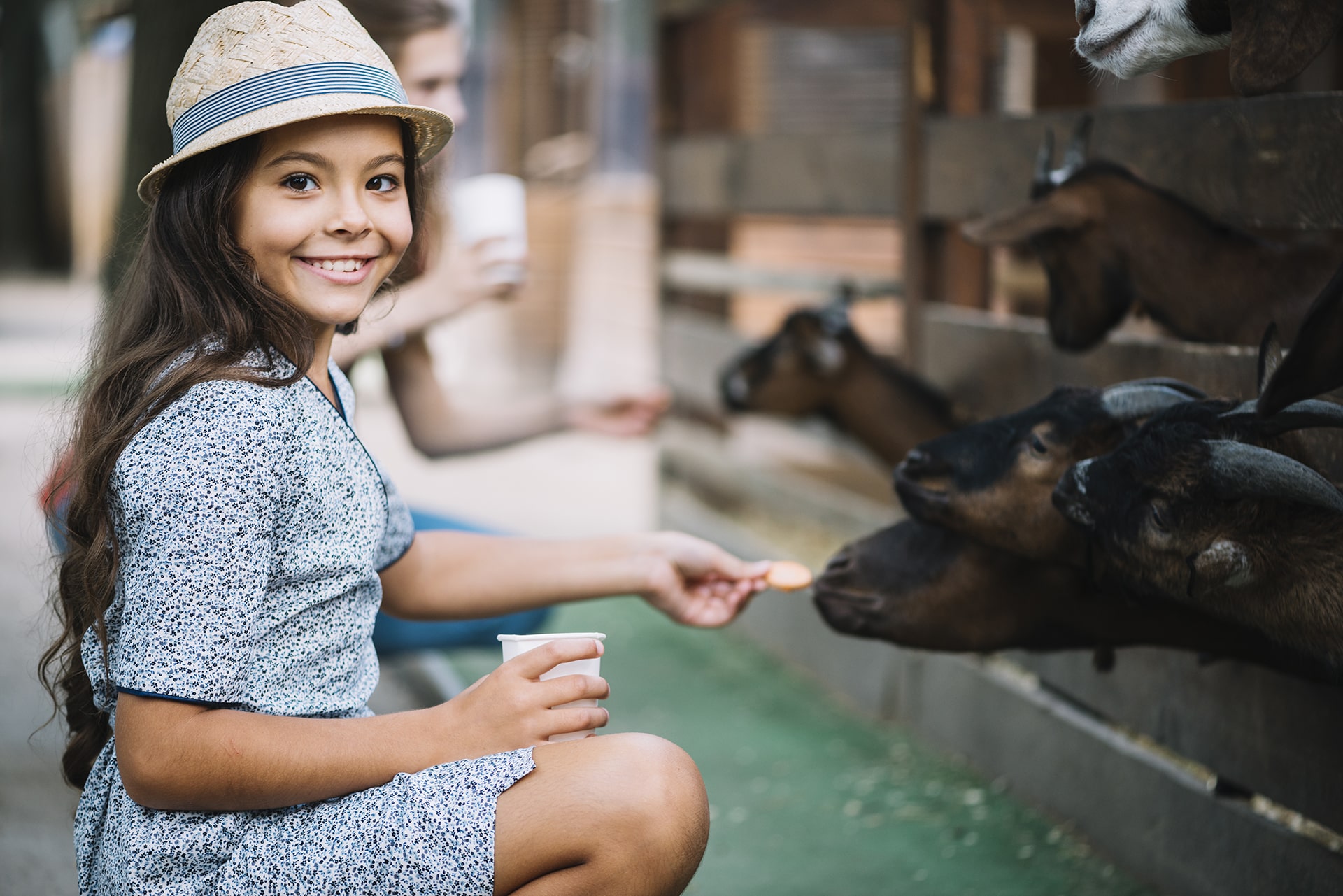 Children’s Petting Zoo